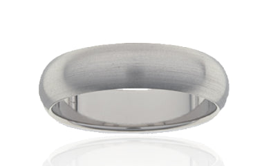 Brushed Titanium Band