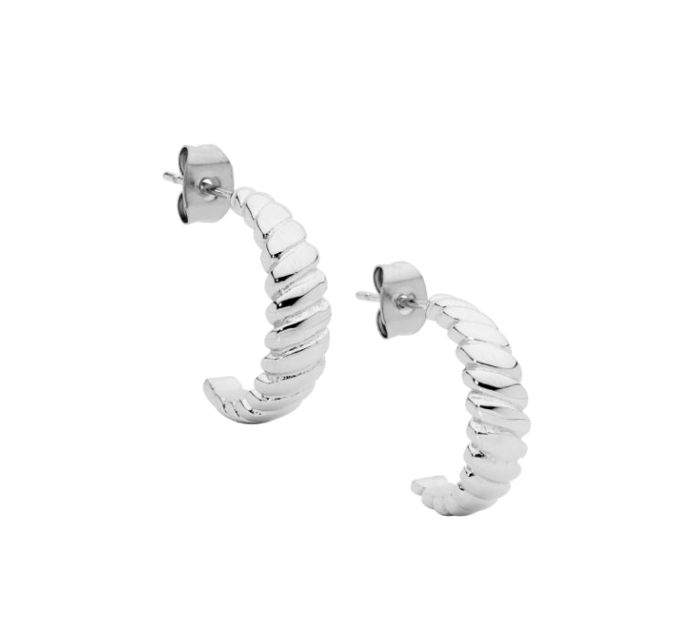 Stainlees steel twist hoop earrings