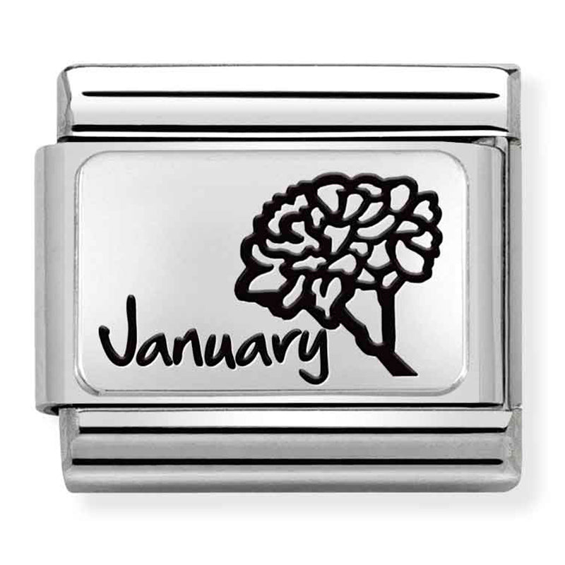 Nomination Composable 330112/13 Month Flower Plate (January)